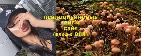 гидропоника Бронницы