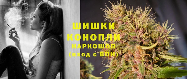 гидропоника Бронницы