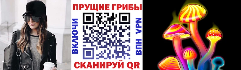 Псилоцибиновые грибы GOLDEN TEACHER Конаково